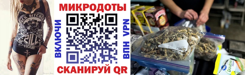 Псилоцибиновые грибы Cubensis  Лакинск 