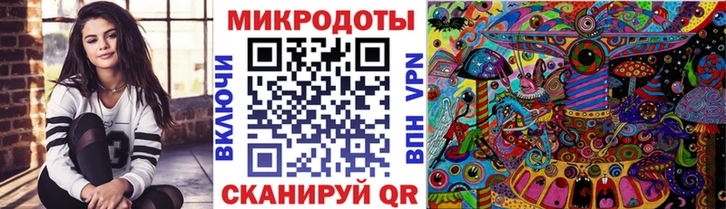 Псилоцибиновые грибы Cubensis Лакинск